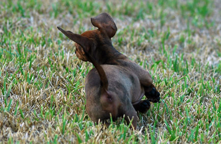 Frank sharp left turn